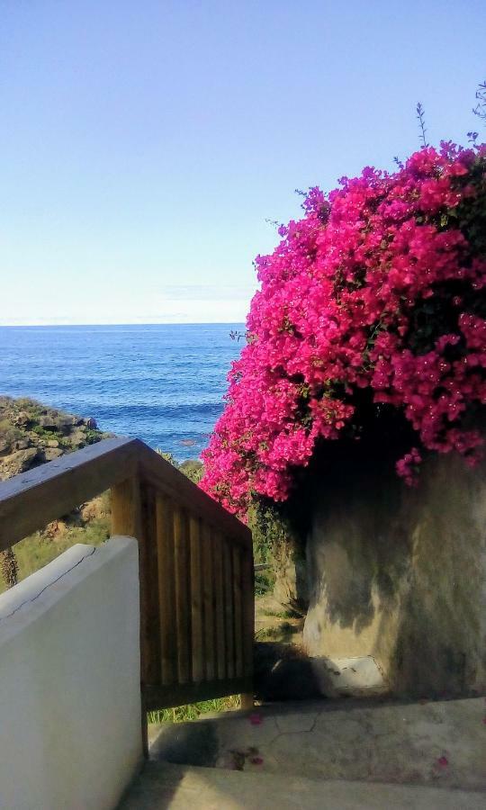 La Pardela Oceanfront Apartment Los Realejos Luaran gambar