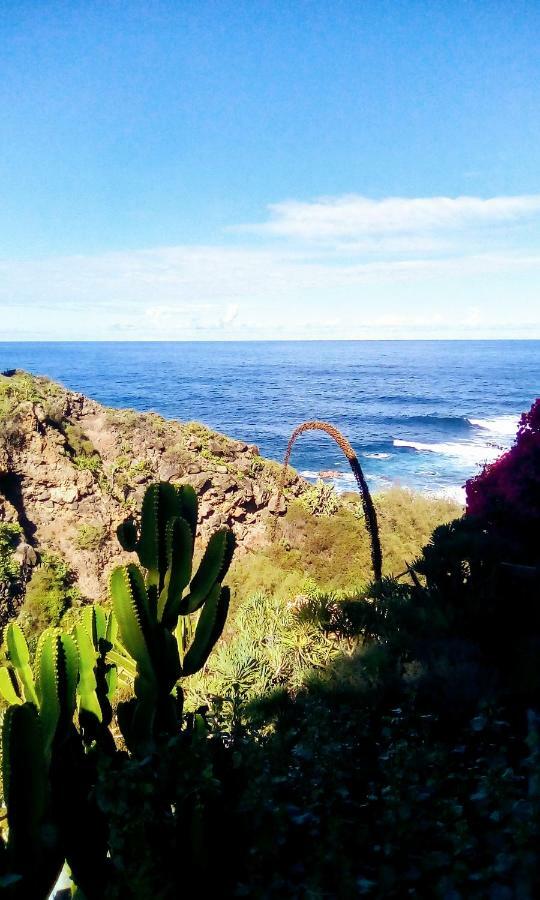 La Pardela Oceanfront Apartment Los Realejos Luaran gambar